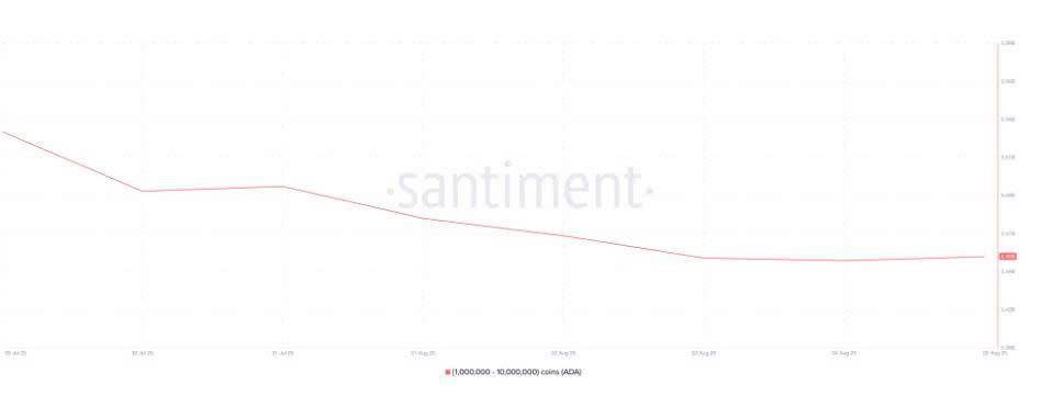 Phân phối nguồn cung ADA. Nguồn: Sanmtiment